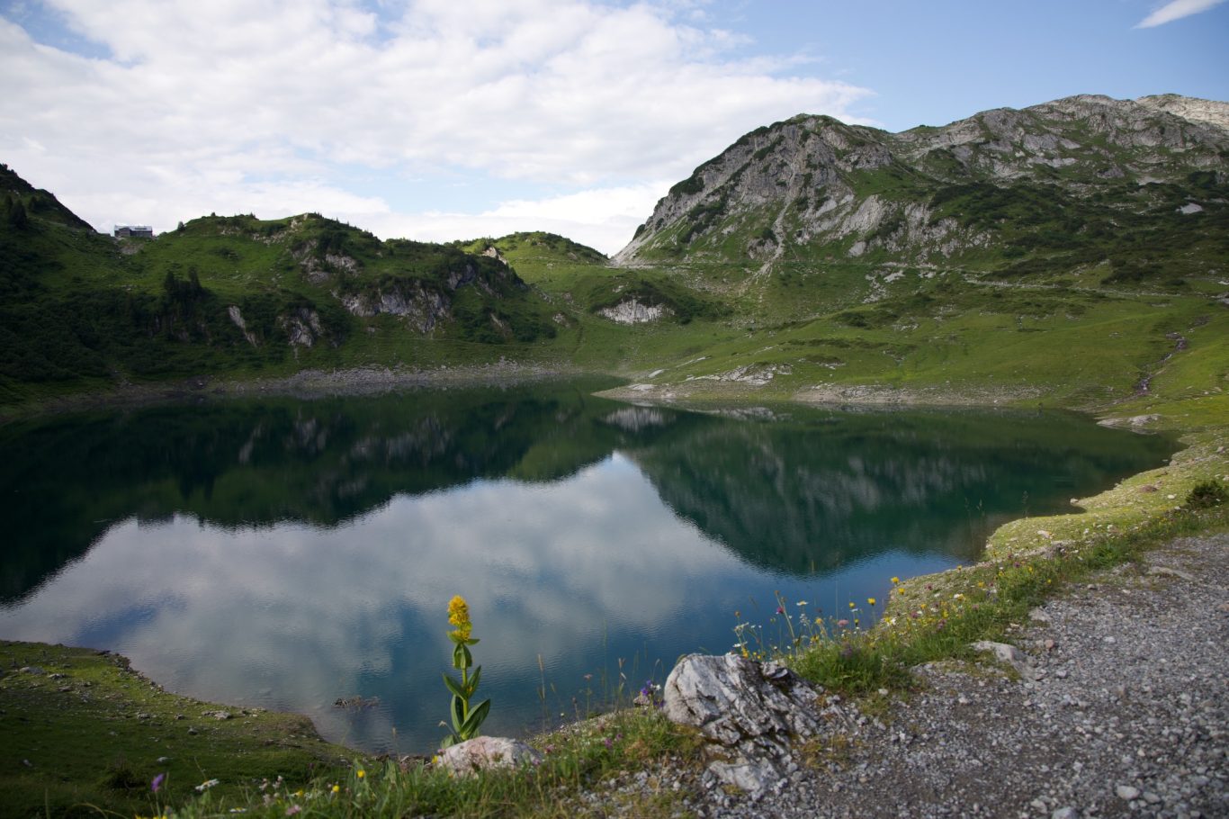 Formarinsee