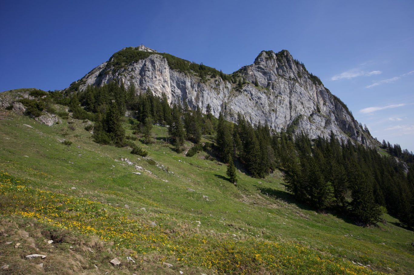 Roß- und Buchstein von Süden aus