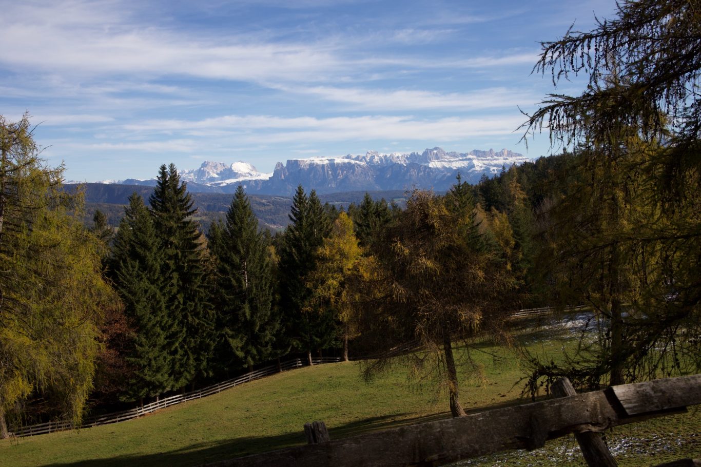 Blick auf Langkofel vom Salten