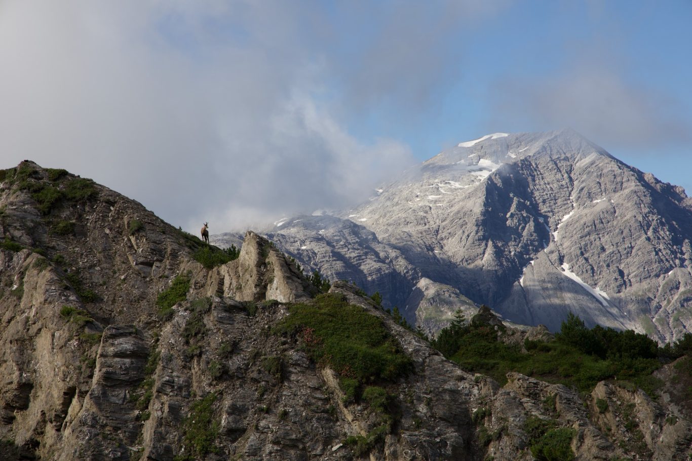 Gams an den oberen Gipslöchern