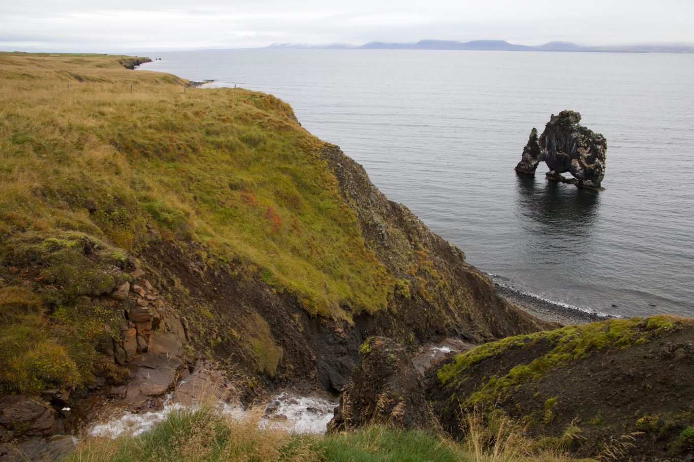 Hvítserkur, Troll oder Dinosaurier?