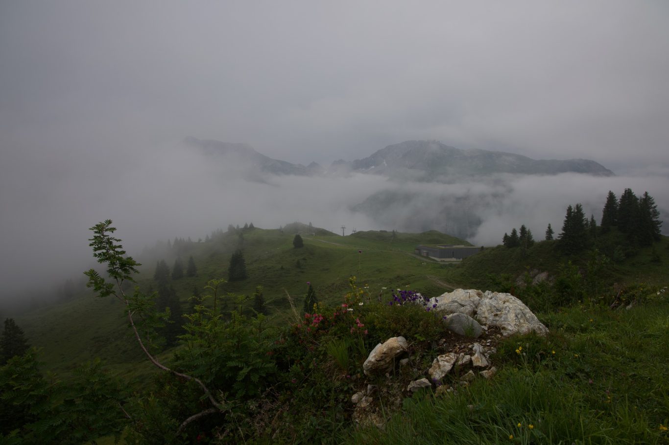 Blick vom Weibermahd Richtung Warth