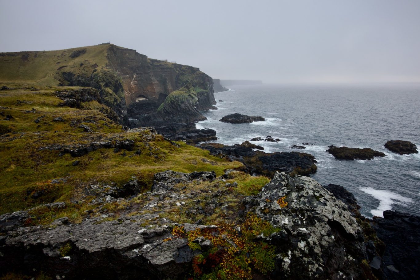 Viele verschiedene Grüntöne bilden einen Kontrast zum schwarzen Lavagestein.