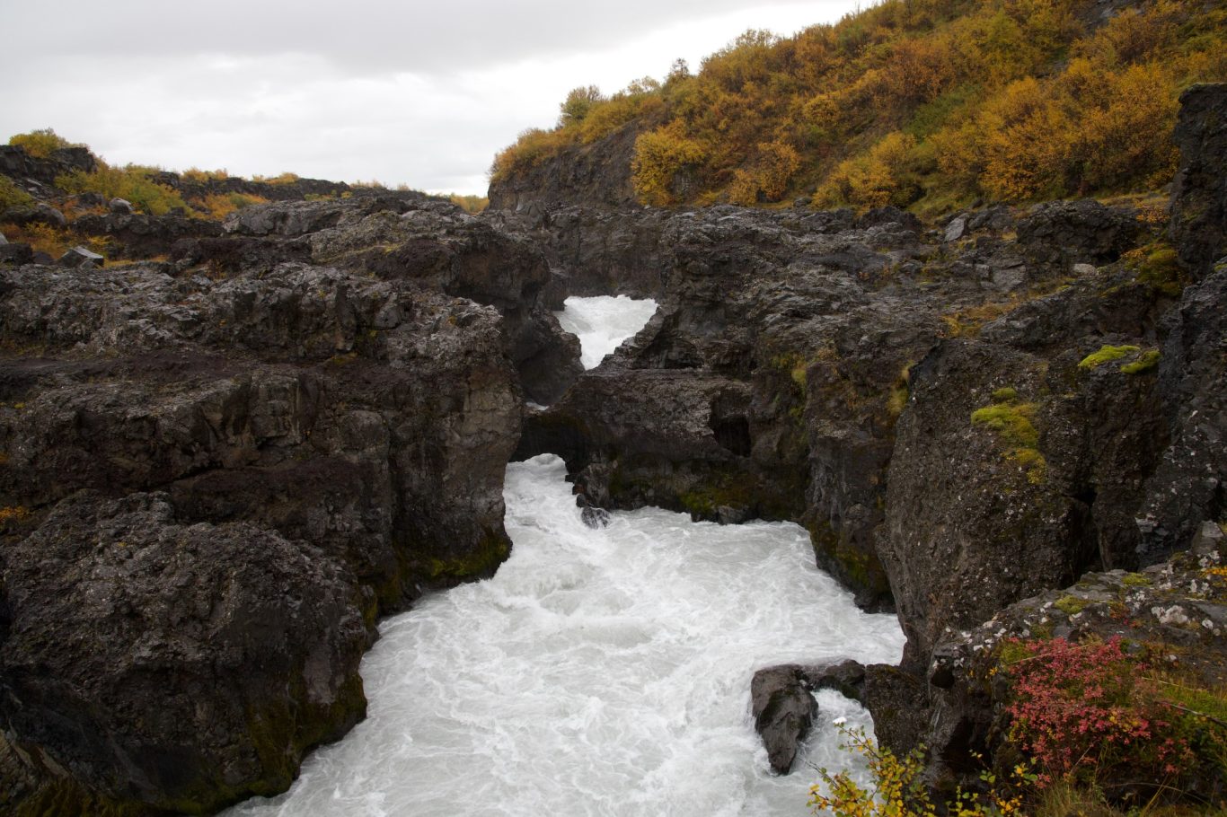 Der Barnafoss: der Sage nach sollen hier zwei Kinder in die Fluten gestürzt sein.