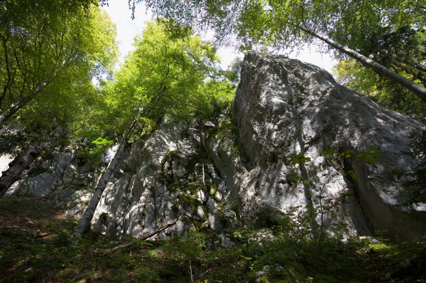 Die Fritzenwand östlich vom Brünnstein
