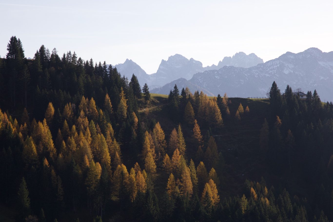 Kaisergebirge hinter herbstlicher Kulisse