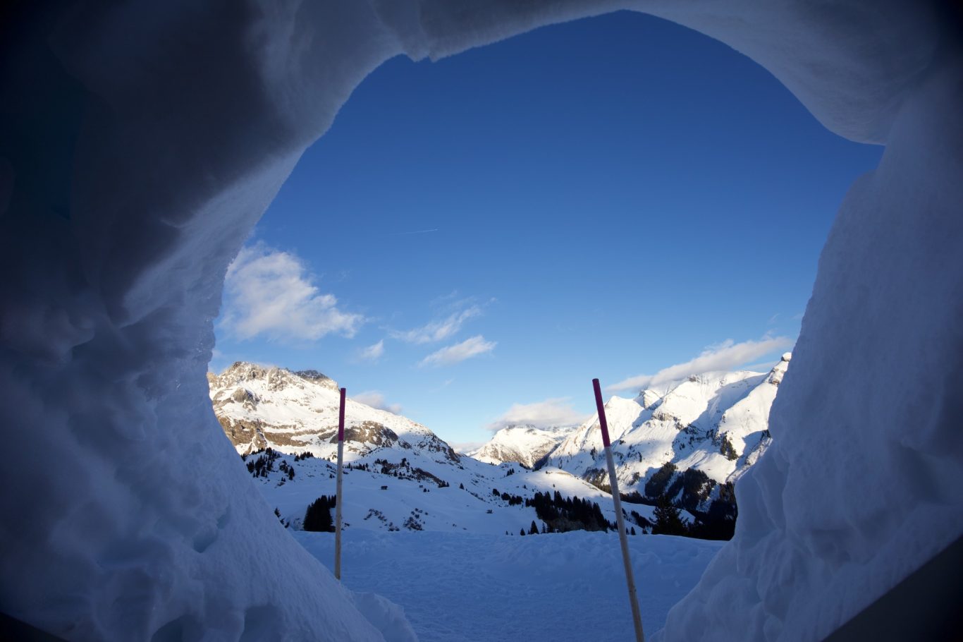 Blick aus dem Skyspace