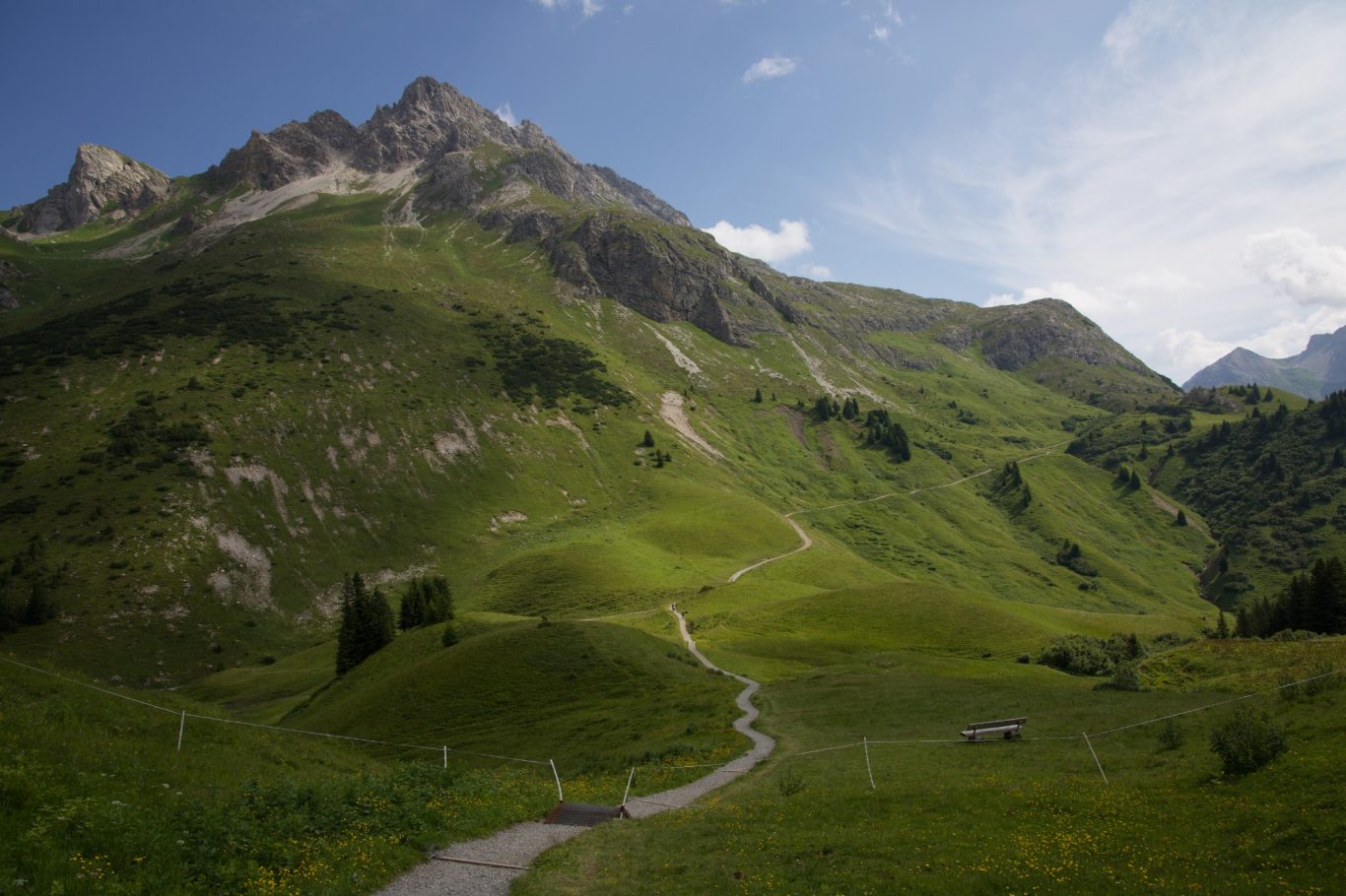 Blick übers Auenfeld