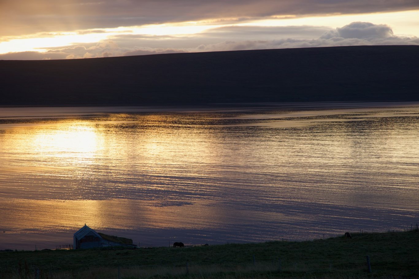 Sonnenuntergang über dem Fjord