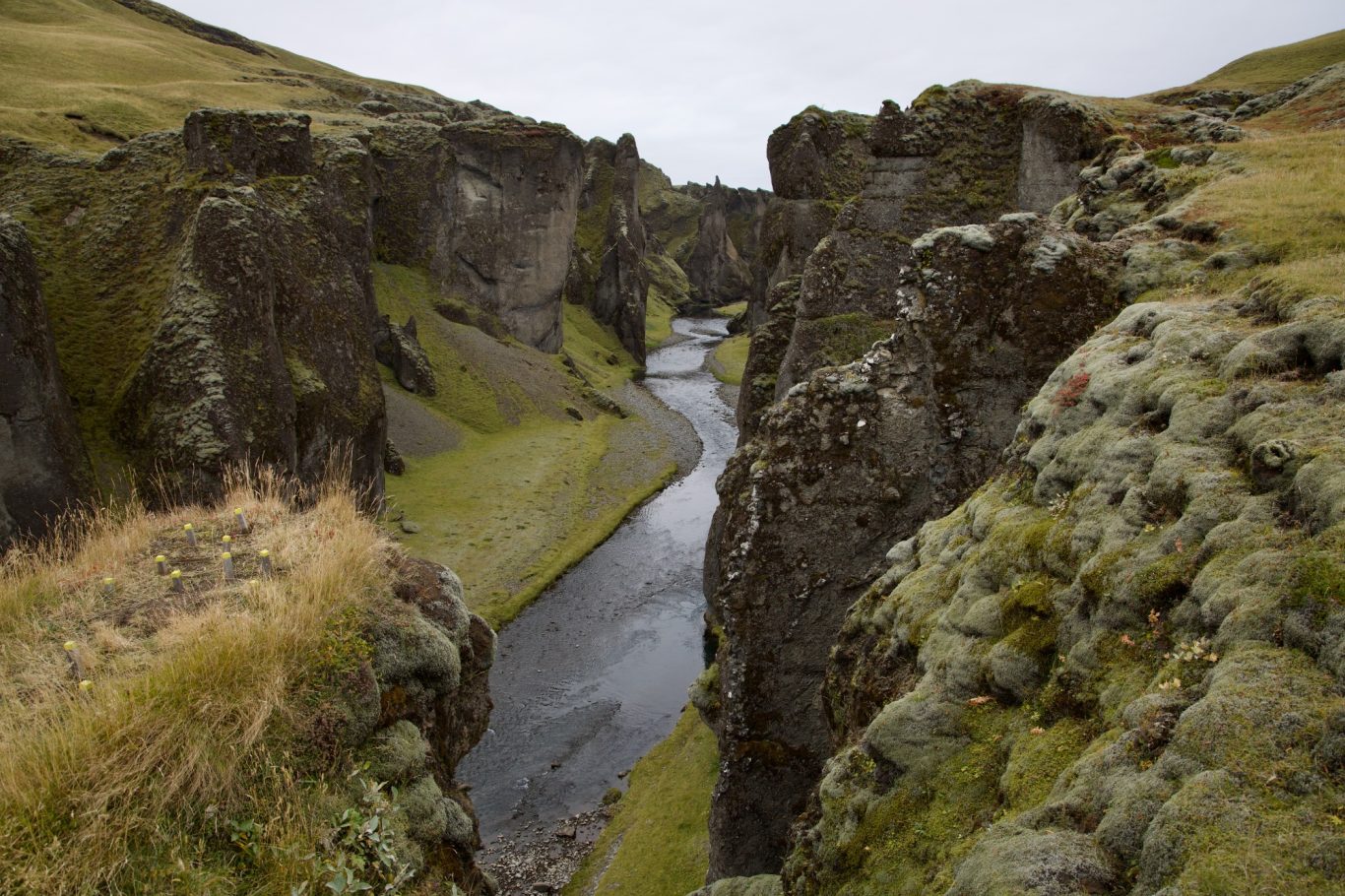Fjaðrárgljúfur - der "Biber-Canyon"