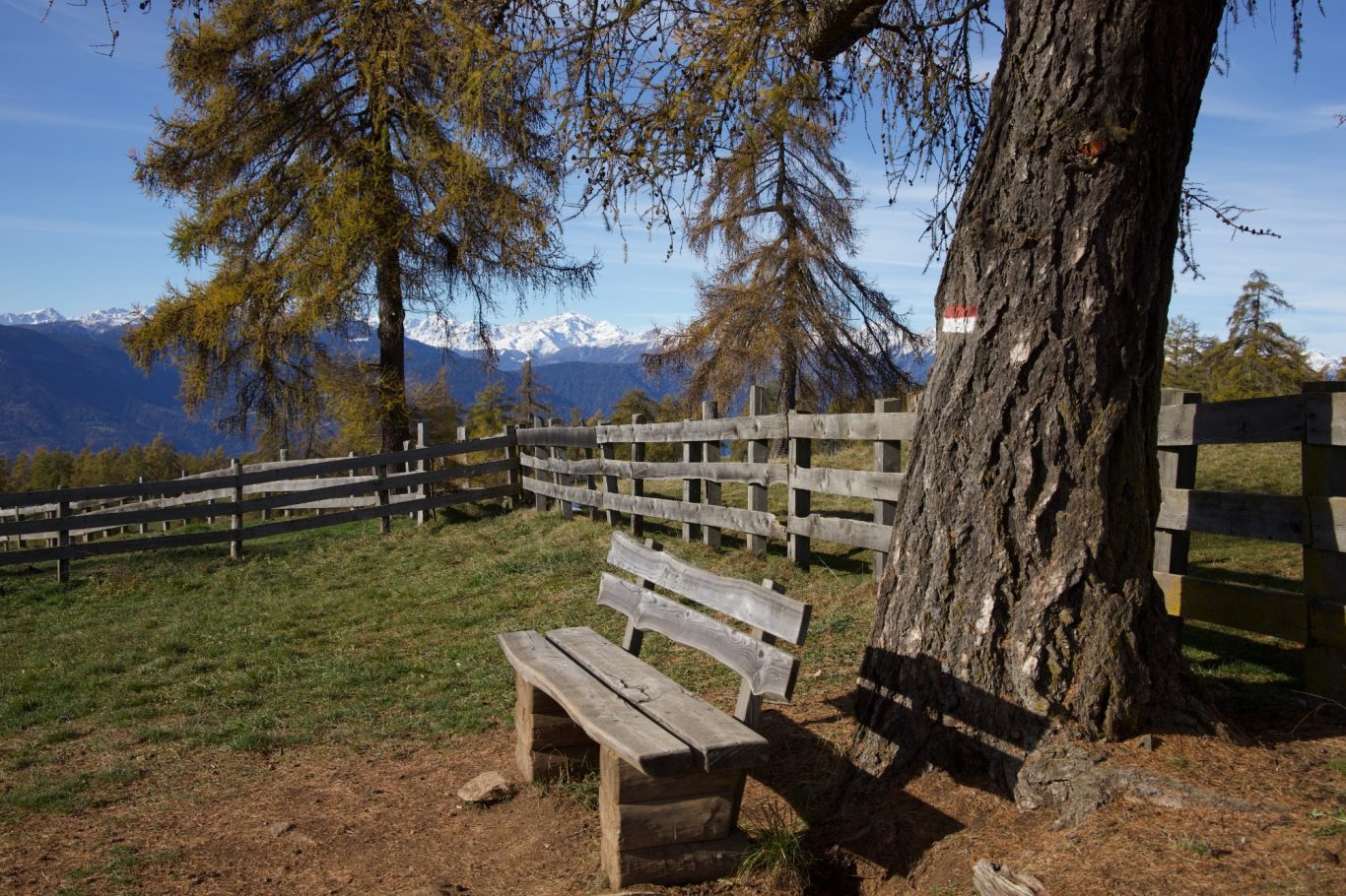 Auf dem Salten mit Texelgruppe im Hintergrund