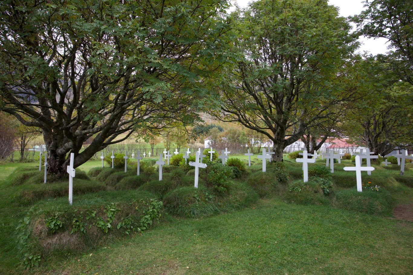 Kleiner Friedhof in der Nähe von Fagurhólsmyri