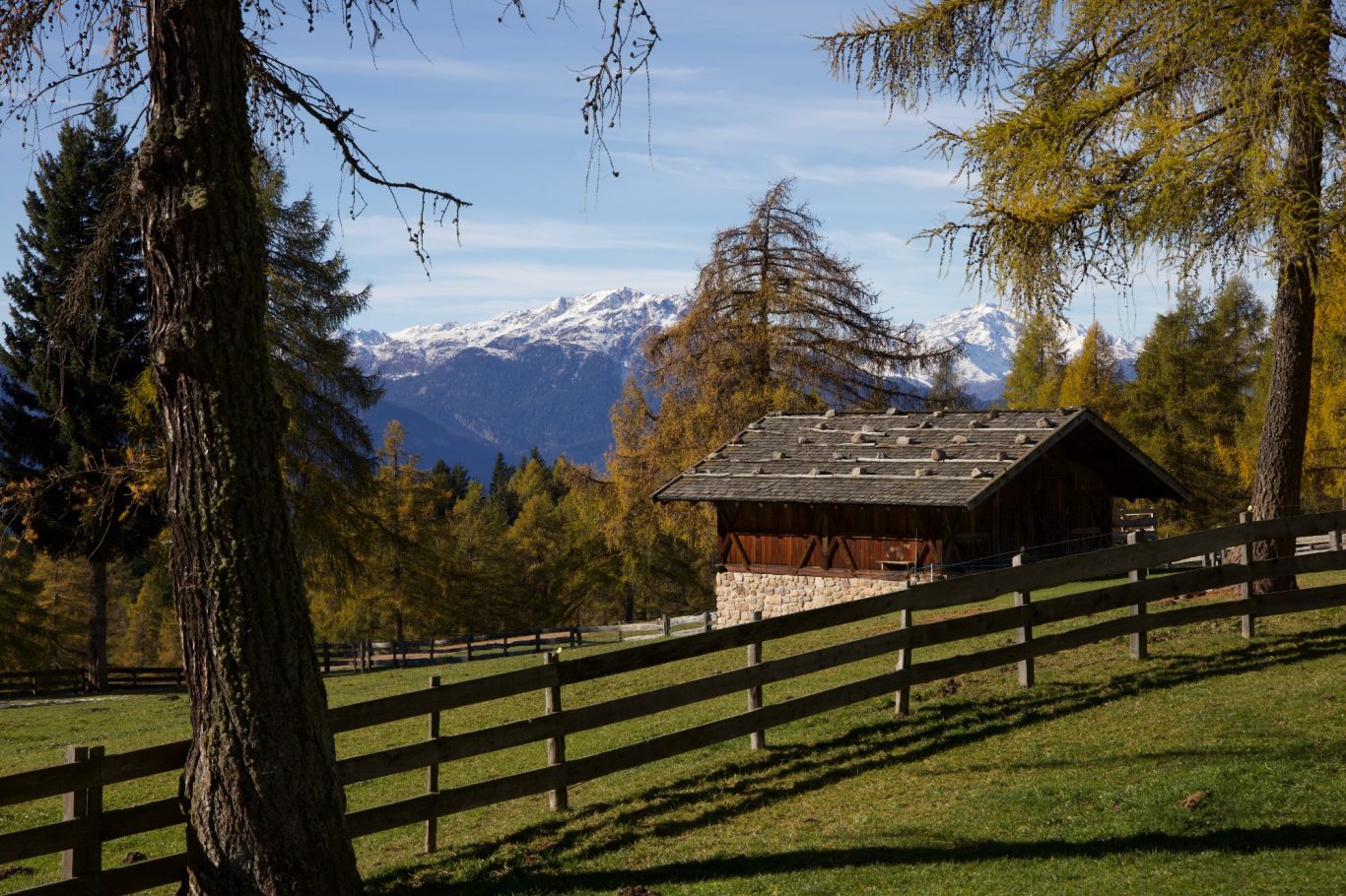 typischer Stadl auf dem Salten