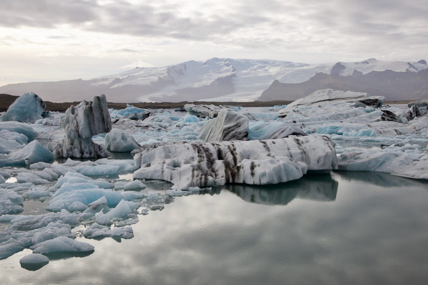 Die Eisberge schimmern in vielen Blautönen.