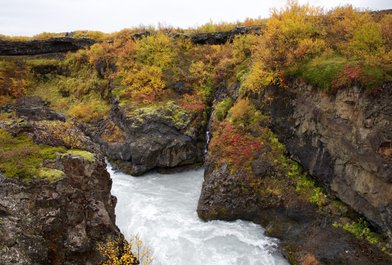 Die Hvíta bahnt sich ihren Weg durch eine Schlucht unterhalb vom Barnafoss.