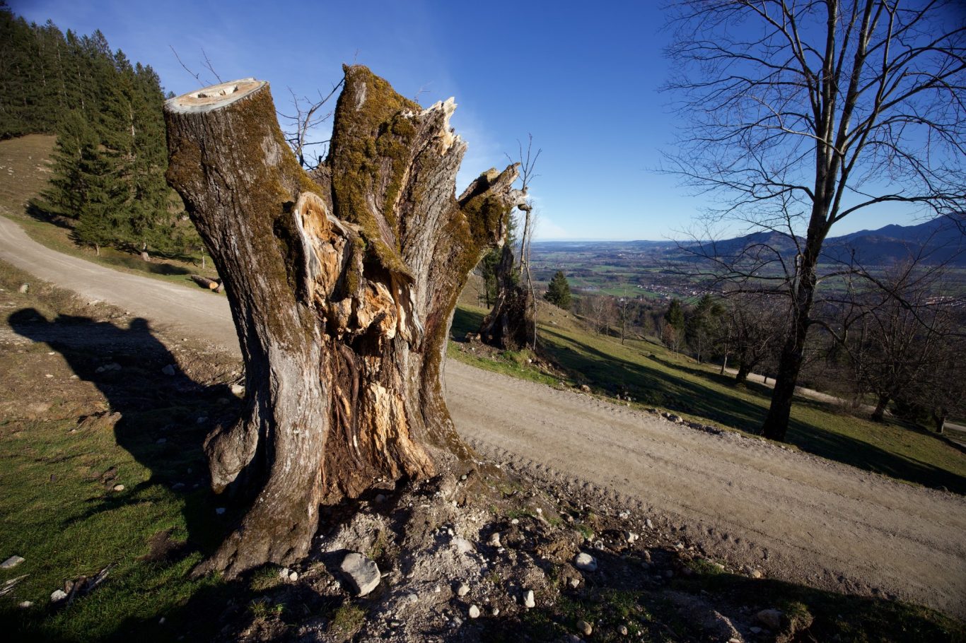Das milde Weihnachtswetter hat dafür gesorgt dass man auch nach einem ersten Winterbruch in den unteren Lagen "normal" wandern kann.