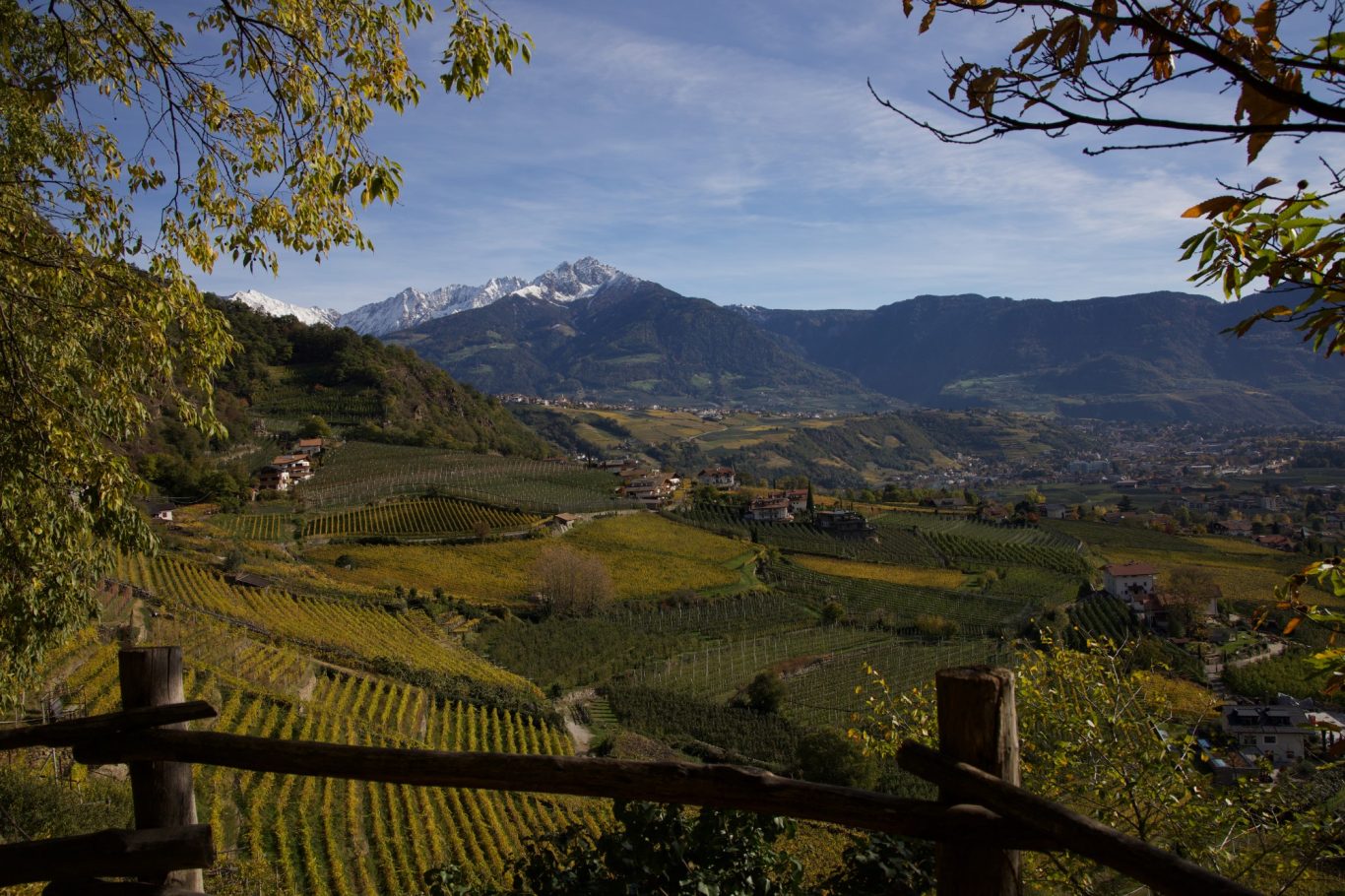 Blick vom Algunder Waalweg auf den Ifinger